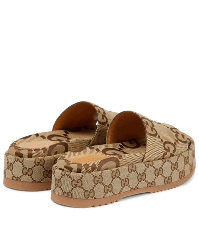 GC Slides