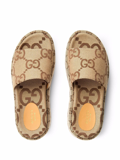 GC Slides
