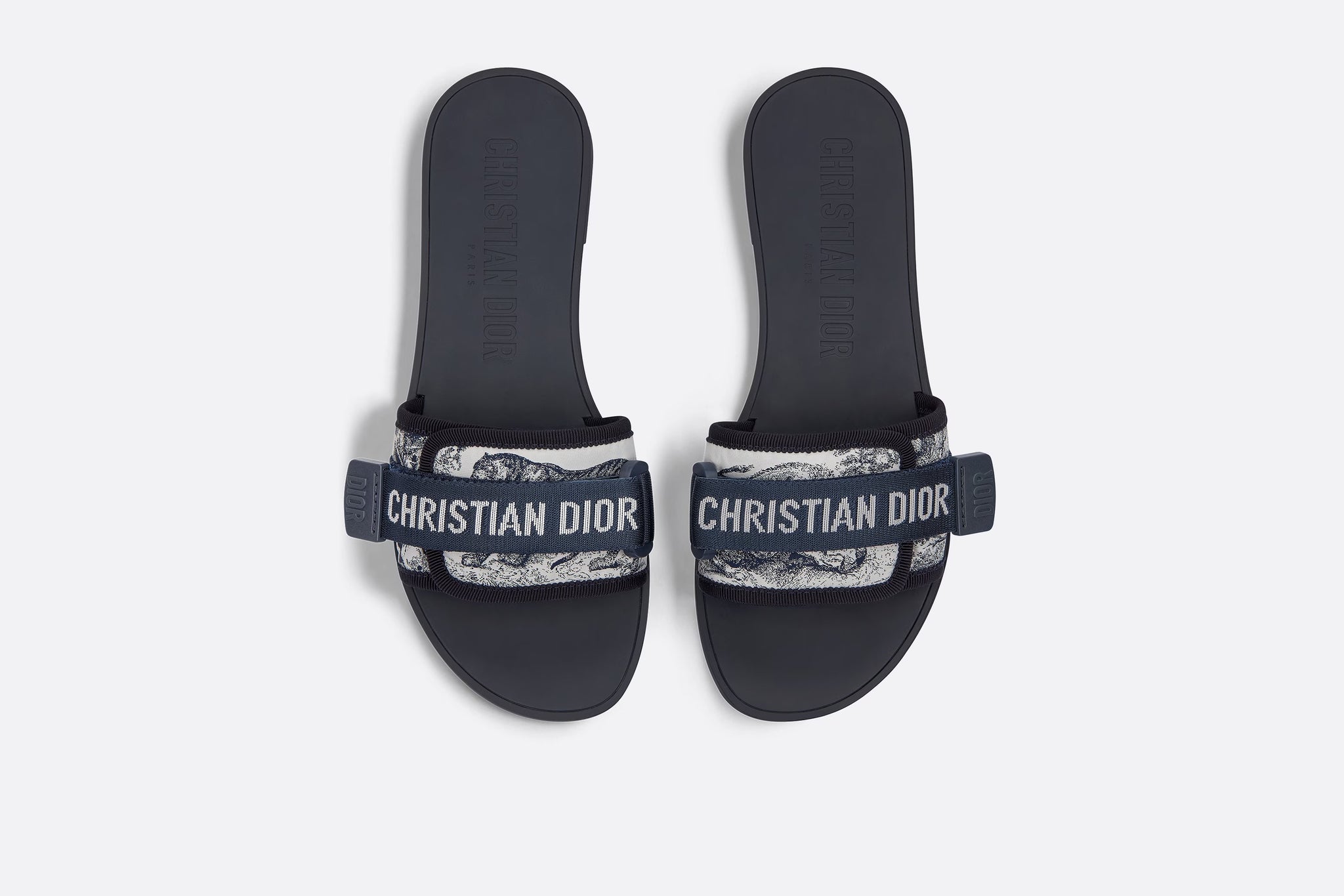 D Revolution Slides